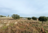 Rural estate for sale in Malpartida de Cáceres ref: TR383083 photo