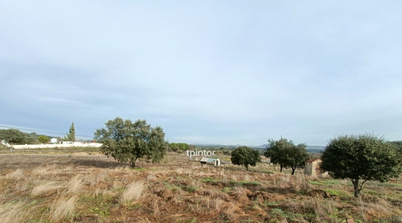 Cáceres - Miajadas - 5000m2