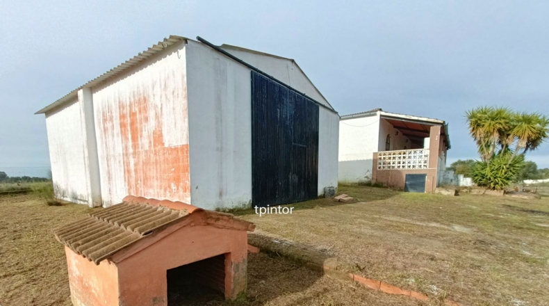 Cáceres - Miajadas - 5000m2