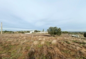 Rural estate for sale in Malpartida de Cáceres ref: TR383083 photo