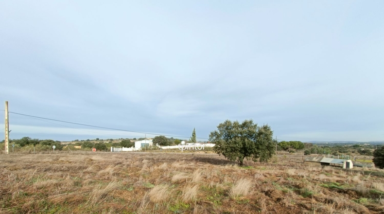 Cáceres - Miajadas - 5000m2