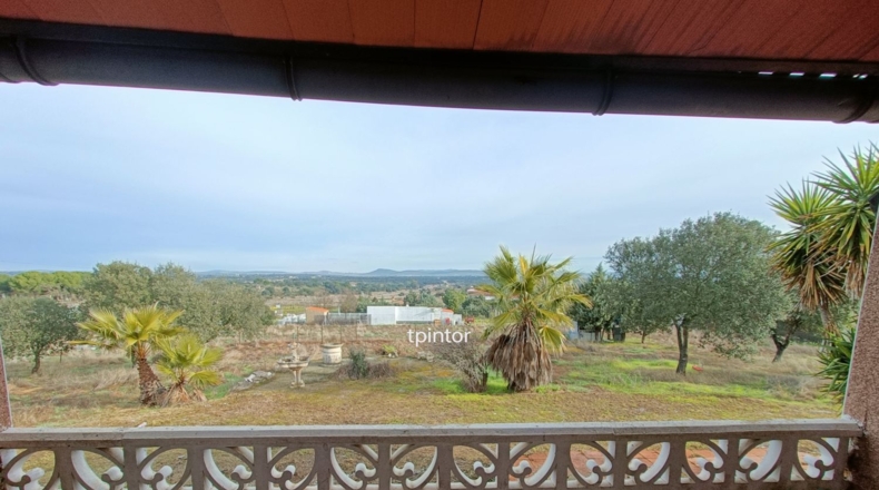 Cáceres - Miajadas - 5000m2