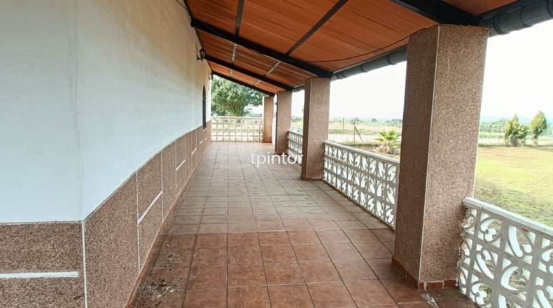 Cáceres - Miajadas - 5000m2
