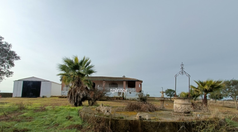 Cáceres - Miajadas - 5000m2