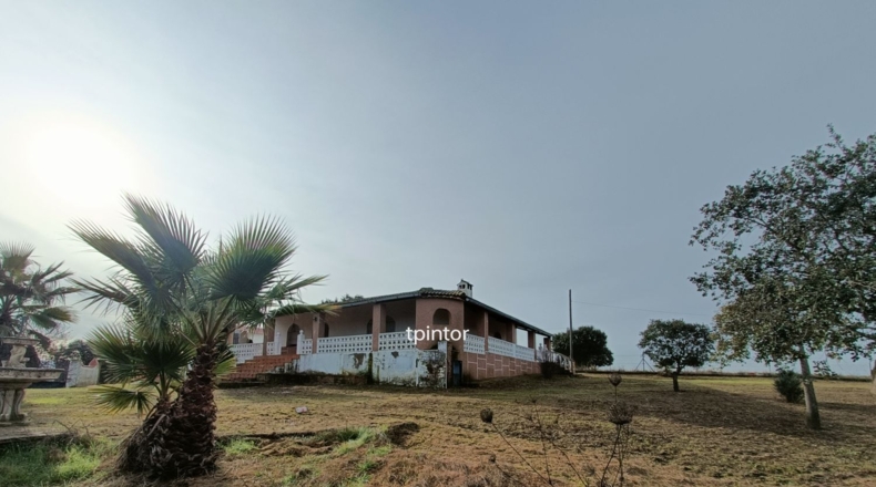 Cáceres - Miajadas - 5000m2