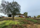Rural estate for sale in Malpartida de Cáceres ref: TR383083 photo