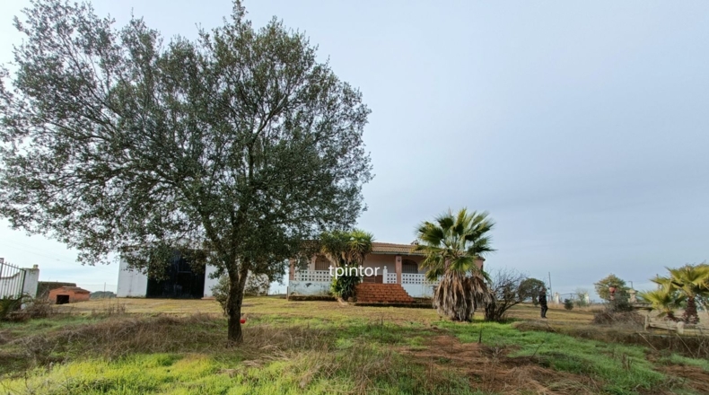 Cáceres - Miajadas - 5000m2