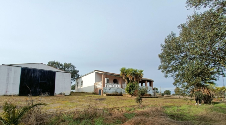 Cáceres - Miajadas - 5000m2