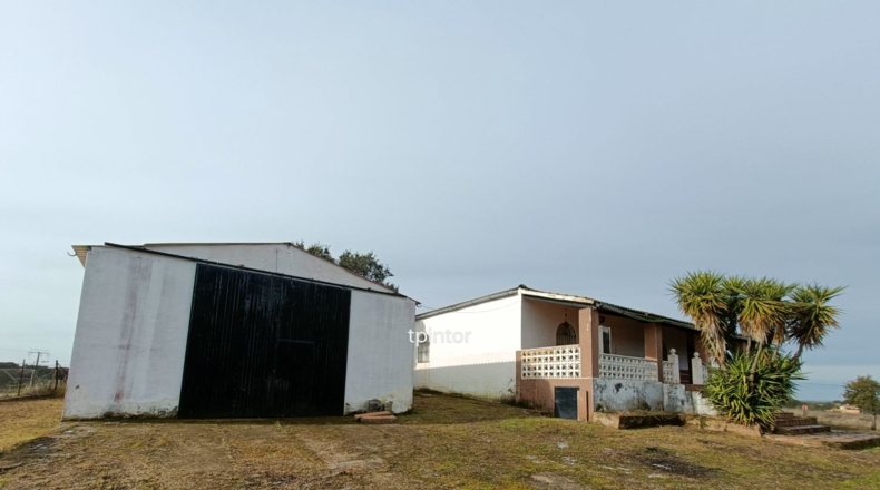 Cáceres - Miajadas - 5000m2