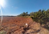Finca rústica en venta en Marmolejo ref: TR370718 foto