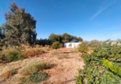 Finca rústica en venta en Marmolejo ref: TR370718 foto