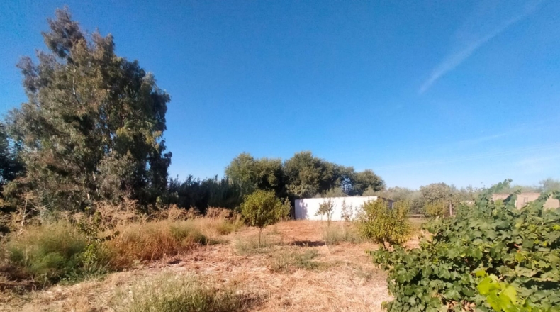 Jaen - Marmolejo - 5110m2