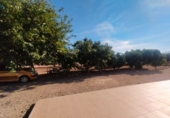 Finca rústica en venta en Marmolejo ref: TR370718 foto