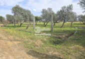 Finca rústica en venda a Utrera ref.: TR274495 foto