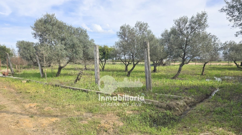 Sevilla - Utrera - 4700m2