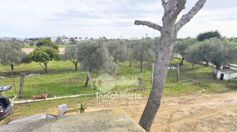 Sevilla - Utrera - 4700m2