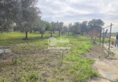 Finca rústica en venda a Utrera ref.: TR274495 foto