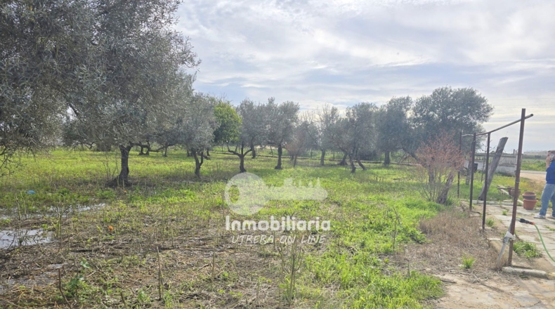 Sevilla - Utrera - 4700m2