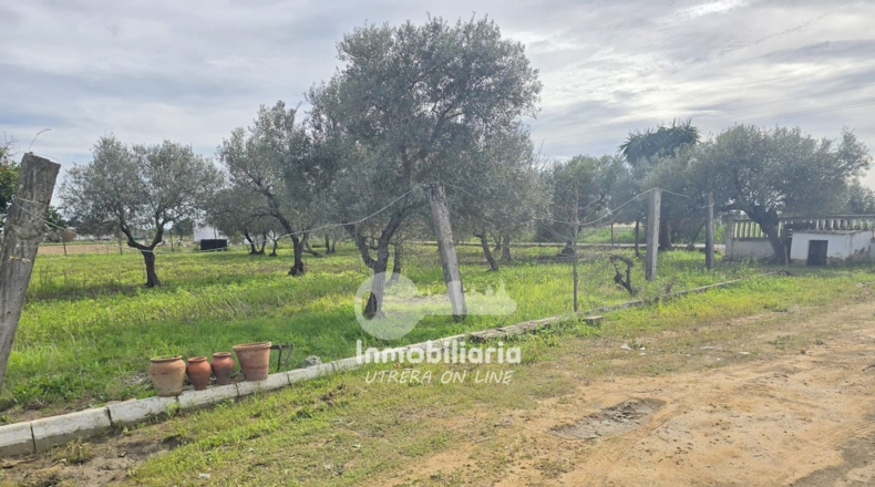 Sevilla - Utrera - 4700m2