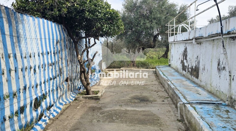 Sevilla - Utrera - 4700m2