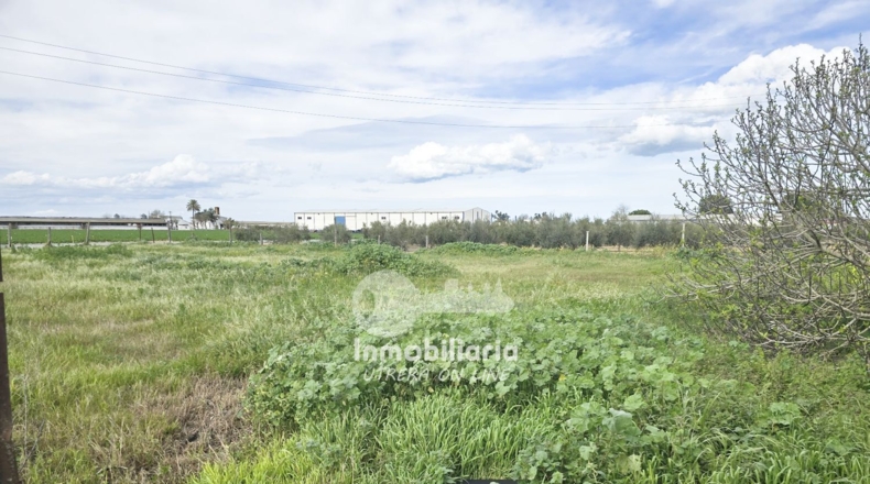 Sevilla - Utrera - 4700m2