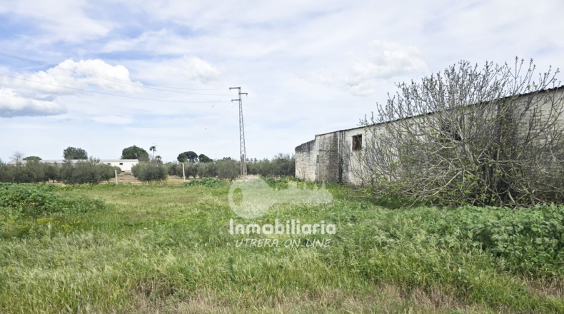 Sevilla - Utrera - 4700m2