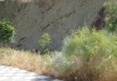 Urban land for sale in Loja ref: TR64713 photo