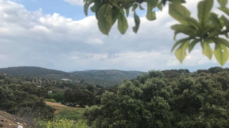 Granada - Algarinejo - 904m2