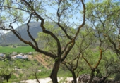 Rural estate for sale in Loja ref: TR64783 photo
