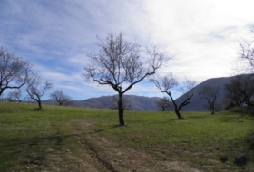 Foto 18