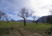 Rural estate for sale in Loja ref: TR64783 photo