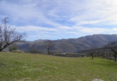 Rural estate for sale in Loja ref: TR64783 photo
