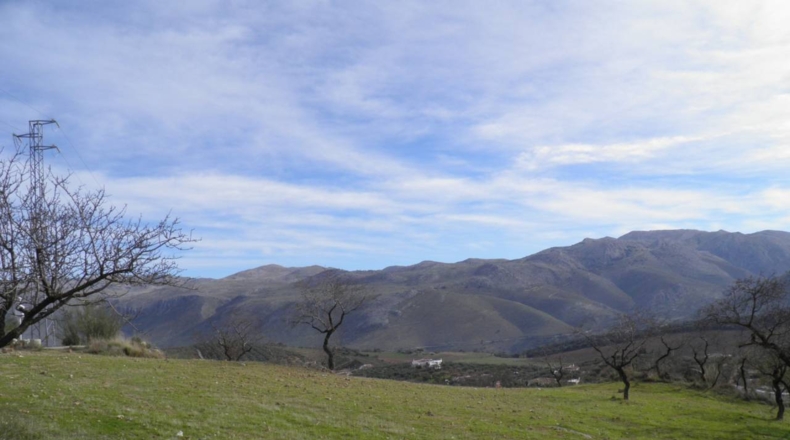 Granada - El Bujeo - 13081m2
