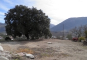 Rural estate for sale in Loja ref: TR64783 photo