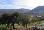 Rural estate for sale in Loja ref: TR64783 photo