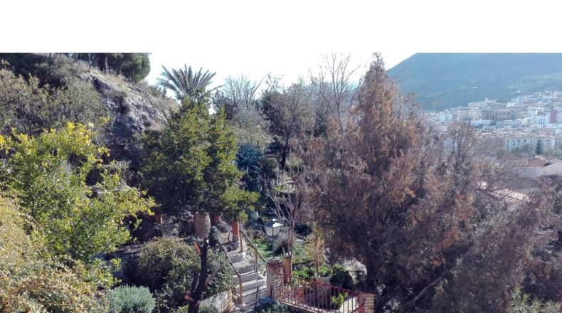 Granada - El Bujeo - 2535m2