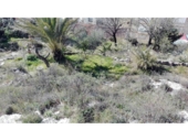 Chalet independiente con terreno en venta en Loja ref: TR64784 foto