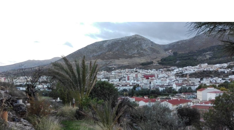 Granada - El Bujeo - 2535m2