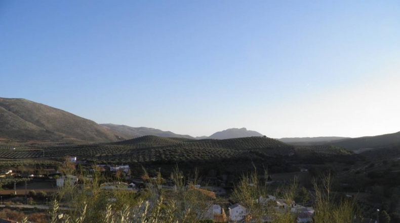 Granada - Venta Santa Barbara - 524m2