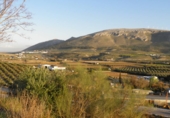Urban land for sale in Loja ref: TR64710 photo