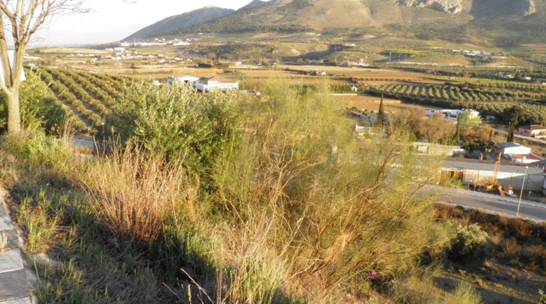 Granada - Venta Santa Barbara - 524m2