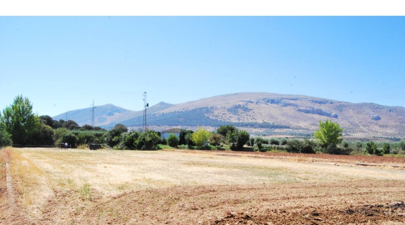 Granada - Loja - 3700m2