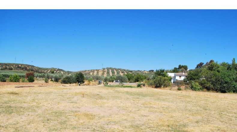Granada - Loja - 3700m2