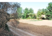 Non-developable land for sale in Loja ref: TR64707 photo