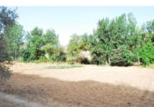 Non-developable land for sale in Loja ref: TR64707 photo