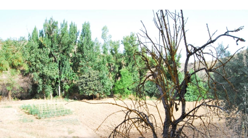 Granada - Venta Santa Barbara - 1435m2