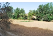 Non-developable land for sale in Loja ref: TR64707 photo