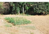 Non-developable land for sale in Loja ref: TR64707 photo