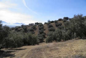 Loja 56370&nbsp;m² 