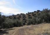 Terreno no urbanizable en venta en Loja ref: TR64706 foto